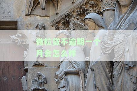 微粒贷不逾期一个月会怎么样-微粒贷不逾期一个月会怎么样吗