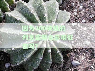 计算300元利息：日、月、年全攻略