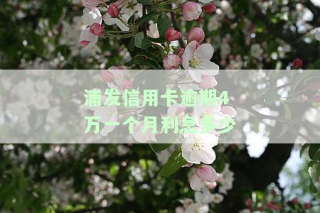 浦发欠款4万逾期1个多月涨了7千多，该如何处理？
