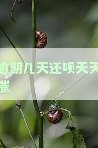 还呗逾期几天会打电话给通讯录的人？永远拒接催收电话的后果是什么？逾期一天被威胁通知家人，该如何处理？