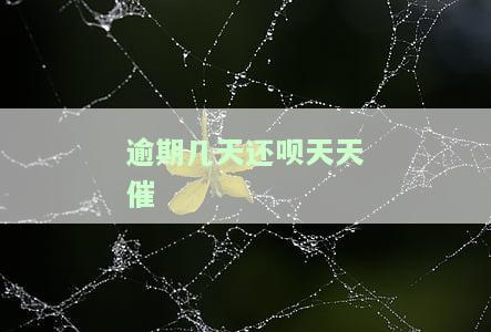 还呗逾期几天就打电话骚扰家人？能否投诉并拒绝接听催收电话？逾期七天严重吗？还会打给填写的联系人吗？