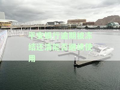 平安银行新一代逾期多久会冻结银行卡？包括被列入失信黑名单的风险