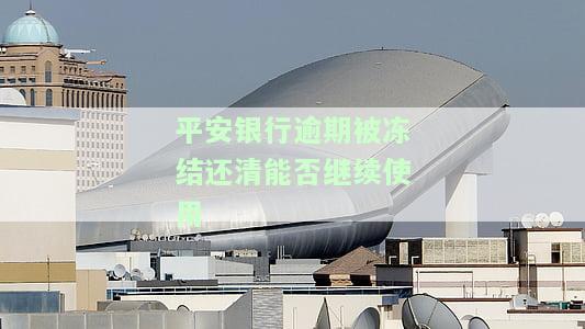 平安银行逾期被冻结还清能否继续使用-平安银行逾期被冻结还清能否继续使用信用卡