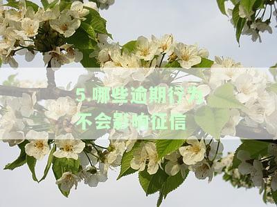 什么样的逾期会影响贷款：额度、信用及征信？