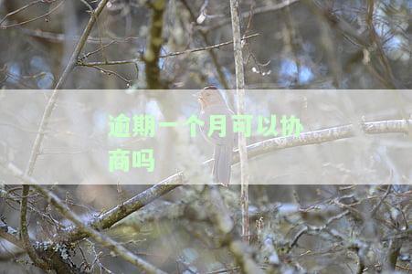 逾期一个月可以协商吗-逾期一个月可以协商吗