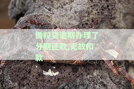 微粒贷分期逾期了,会要求还清全部欠款吗？解决方案是什么？