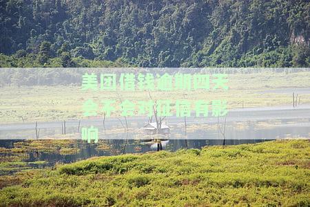 美团借钱逾期四天会否影响征信？已还清能否再次借款？