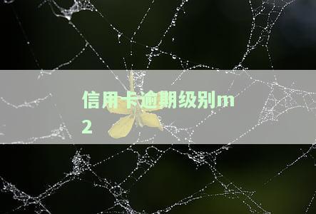信用卡逾期级别划分：Y7、2020年最新标准与信用逾期等级详解