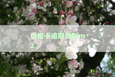 信用卡逾期级别划分Y7：2020年最新标准与解读