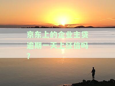 京东企业主贷逾期一天会否影响征信？相关风险及解答