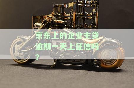 京东企业主贷多久上征信？审核时间、逾期影响解析