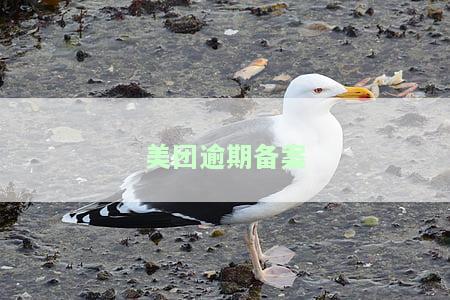 美团逾期备案审核会发往户所在地吗？逾期3天是否真的将文书送到户地？