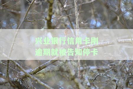 兴业银行逾期半个月：停卡、走法律程序真有其事？全额还款后能否恢复使用？逾期20天会否上门催收？