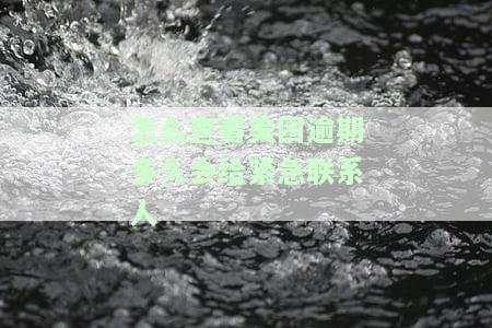 美团逾期多久给紧急联系人催收短信？