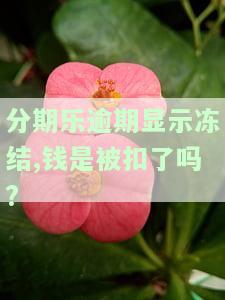 分期乐说冻结账户是真是假？财产将受影响吗？