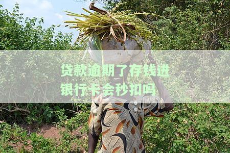 贷款逾期后存钱进银行卡会被秒扣吗？安全吗？
