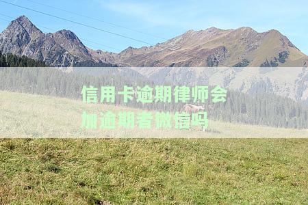 信用卡逾期律师是否会加逾期者微信？该怎样处理？