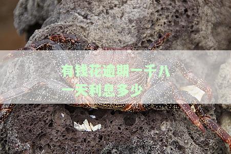 有钱花逾期一千八一天利息多少合法？详解逾期罚息计算方法