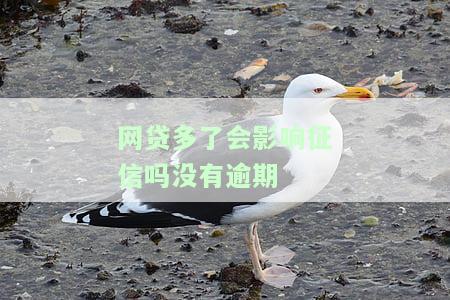 网贷多了会影响征信吗？没有逾期也会有影响，包括银行信用贷款。如何解决网贷过多对征信的影响？
