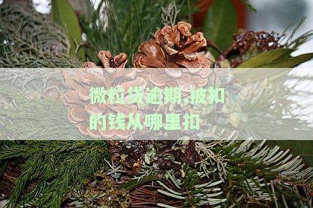 微粒贷逾期秒扣零钱：原因、合法性及解决办法