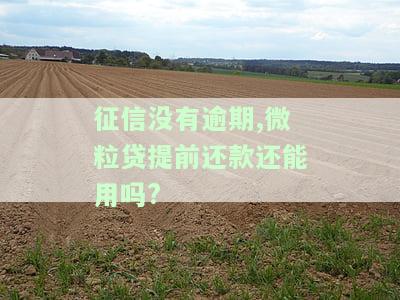 征信花微粒贷提前还款后能否再借？影响大吗？求解！