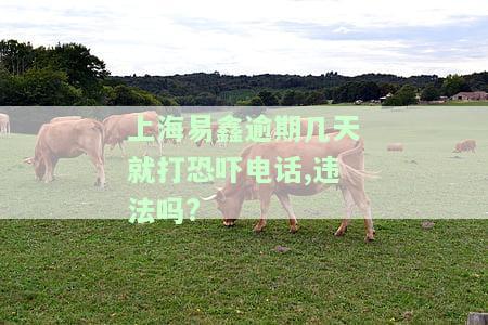 上海易鑫逾期几天就打恐吓电话违法吗？如何处理上门催收与被起诉风险？是否有人成功解决套路贷问题？