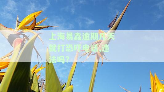 上海易鑫逾期几天就打恐吓电话,违法吗?