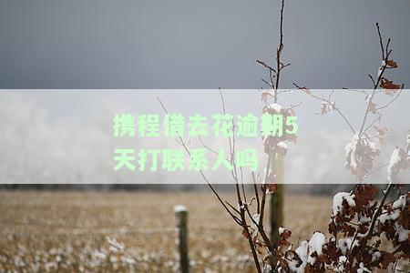携程借去花逾期多久会给家里打电话进行催收?