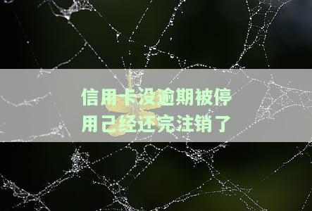 还没有还完信用卡，却已显示注销：如何处理？