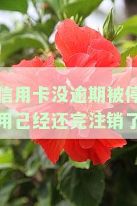停用的信用卡逾期还完后，是否应注销？安全吗？逾期卡是留还是消？