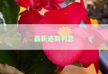 最新逾期利息计算方法及标准全解析