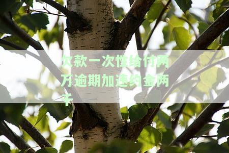 欠款一次性给付两万逾期加违约金两千是否正常？知乎：欠款25000元，逾期一天最多违约金多少？