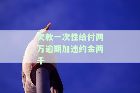 欠款25000,逾期一天最多违约金多少？美团、其他平台逾期2万违约金是多少？