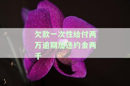 欠款一次性给付两万逾期加违约金两千-欠款一次性给付两万逾期加违约金两千合法吗
