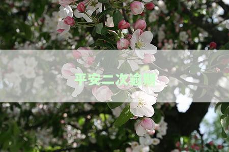 平安二次逾期有宽限期吗？逾期多长时间会上征信？