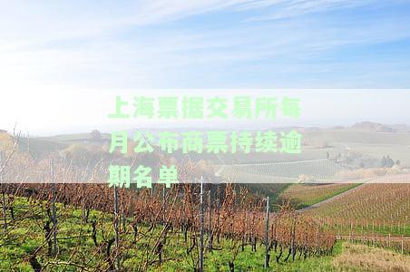 上海票据交易所公告：2020年12月30日最新公示