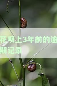花呗上3年前的逾期记录-花呗上3年前的逾期记录怎么查