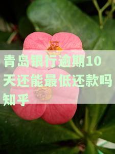 青岛银行逾期三个月：能否停账挂息？有无期还款及宽限期，最晚还款日期是什么？