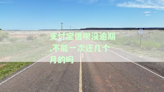 支付宝借呗没有逾期为什么只能还款，无法再借款？