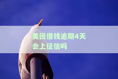 美团借钱：逾期几天还款后还能再借吗？安全吗？知乎答案解析