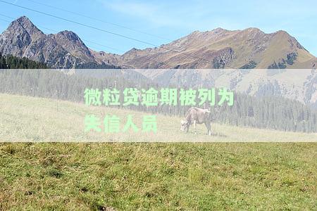 微粒贷失信多久能恢复征信？逾期是否会影响全国失信人名单？