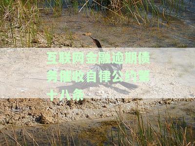 《互联网金融催收自律公约》：规逾期债务催收行为