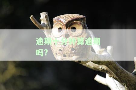 逾期10分会产生哪些后果？包括处罚、影响信用等