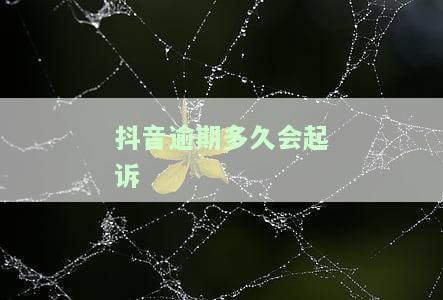 抖音借款逾期：影响及处理方式