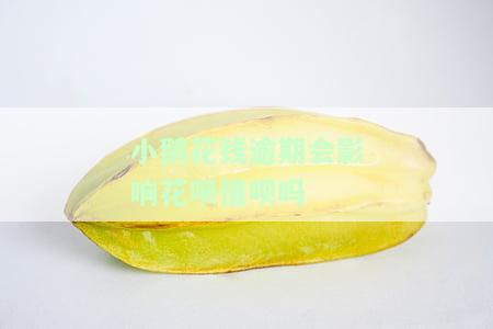 小鹅花钱逾期是否会影响支付宝、信用卡及征信？逾期处理方法及是否会扣除微信零钱？