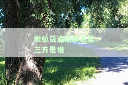 微粒贷逾期后，会打给谁电话？影响到工作和生活吗？