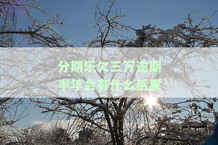 欠了分期乐三万多还不起怎么办？会坐牢吗？