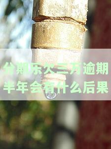 分期乐欠三万逾期半年会有什么后果-分期乐3万逾期3个月真的会上诉吗?