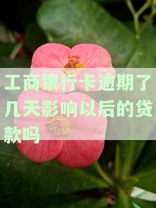 工商银行卡逾期几天会影响以后的贷款吗？安全问题及解决方法探讨