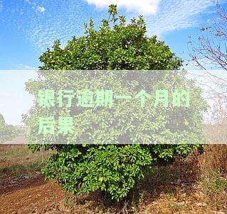 银行逾期一个月的后果：影响信用记录、可能产生罚息、对贷款申请有负面影响